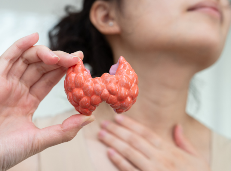 medithump13 medithump13